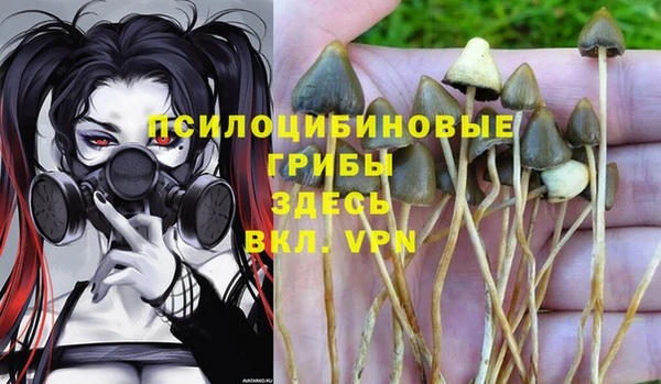 альфа пвп Лихославль