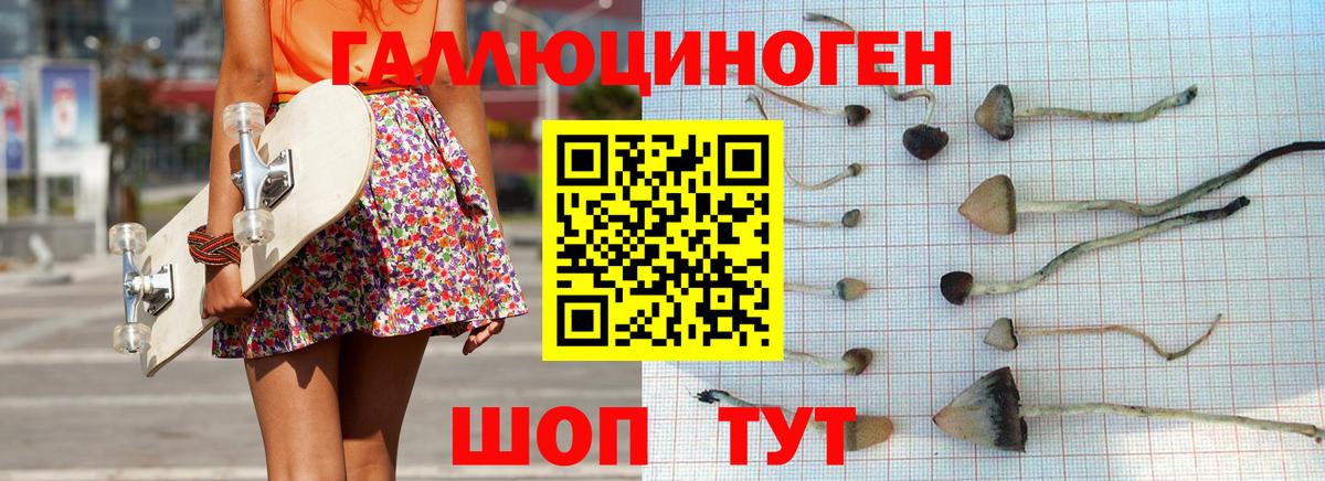 Псилоцибиновые грибы Psilocybine cubensis  Серпухов  Псилоцибиновые грибы Psilocybine cubensis 