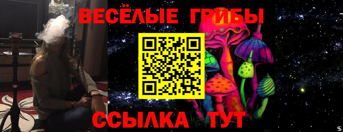 Серпухов  Галлюциногенные грибы прущие грибы  Вход с VPN 