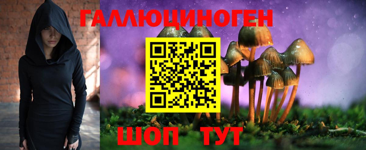 Псилоцибиновые грибы мухоморы Серпухов